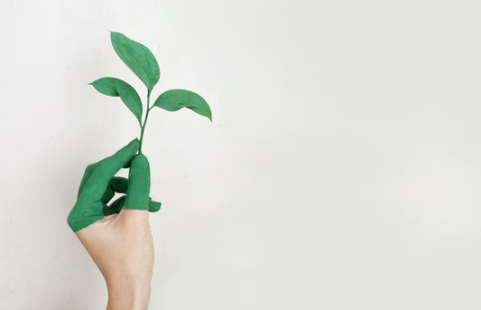Sustainable Fashion on a Budget: How to Build an Eco-Friendly Wardrobe