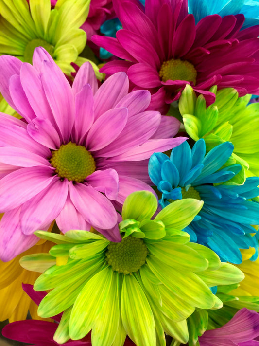 The ‘Dopamine Dressing’ Trend: How to Boost Your Mood with Colourful Fashion